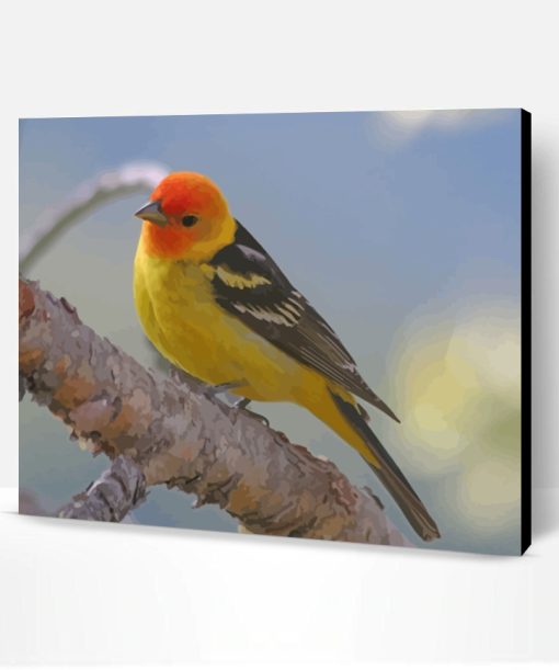 The Western Tanager Bird Paint By Number