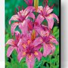 Tiger Pink Lilies Paint By Number
