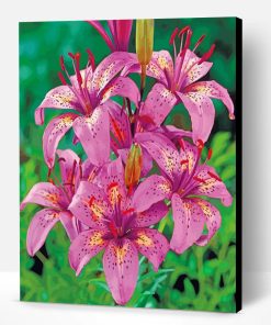 Tiger Pink Lilies Paint By Number