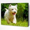 West Highland Terrier Paint By Number