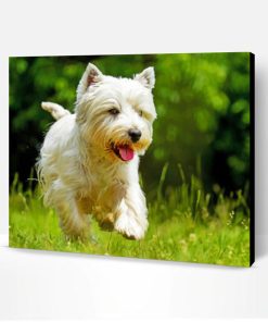 West Highland Terrier Paint By Number