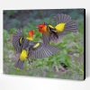 Western Tanager Birds Paint By Number