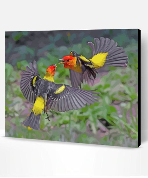 Western Tanager Birds Paint By Number