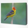 Western Tanager On Stick Paint By Number