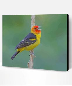 Western Tanager On Stick Paint By Number