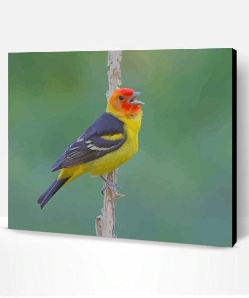 Western Tanager On Stick Paint By Number