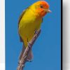 Western Tanager Bird On Stick Paint By Number