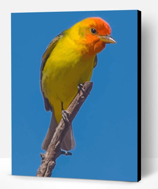 Western Tanager Bird On Stick Paint By Number