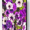 White And Purple Petunia Paint By Number