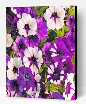 White And Purple Petunia Paint By Number