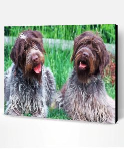 Wirehaired Pointing Griffon Dogs Paint By Number