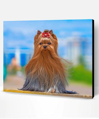 Yorkshire Terrier Paint By Number