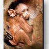 Adorable Baby Macaque Paint By Number