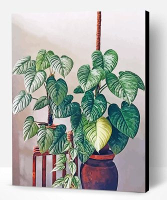 Aesthetic Philodendron Paint By Number