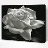 Aesthetic Black And White Rose Paint By Number