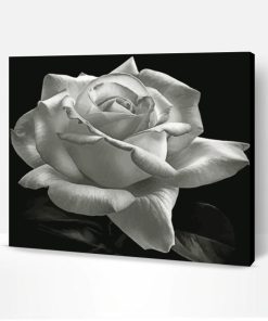 Aesthetic Black And White Rose Paint By Number
