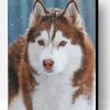 Aesthetic Brown Husky Snow Paint By Number