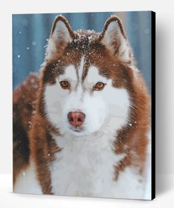 Aesthetic Brown Husky Snow Paint By Number
