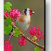 Aesthetic Goldfinch Bird Paint By Number