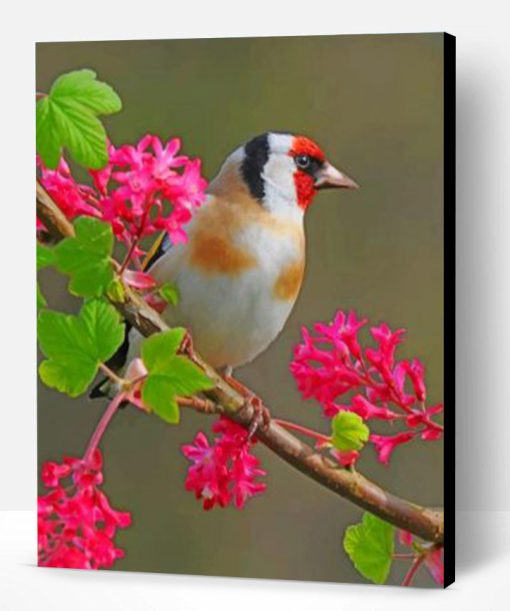 Aesthetic Goldfinch Bird Paint By Number