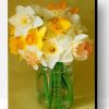 Aesthetic Daffodils Flowers Paint By Number