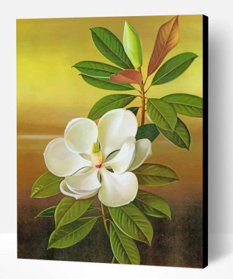 White Magnolia Paint By Number