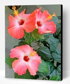 Aesthetic Hibiscus Paint By Number