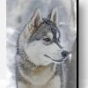 Aesthetic Husky And Snow Paint By Number