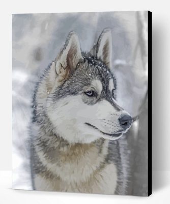 Aesthetic Husky And Snow Paint By Number