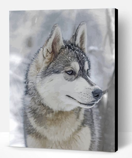 Aesthetic Husky And Snow Paint By Number