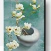Aesthetic Magnolia Flowers Paint By Number