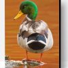 Aesthetic Mallard Paint By Number