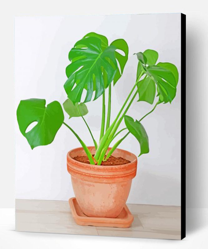 Philodendron Paint By Number