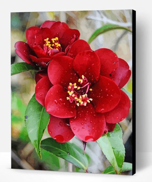 Aesthetic Red Camellia Paint By Number