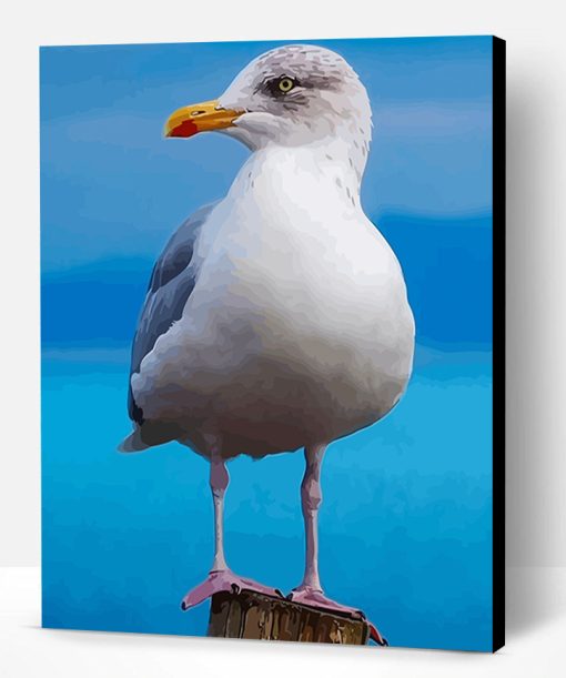 Aestehtic Seagull Bird Paint By Number