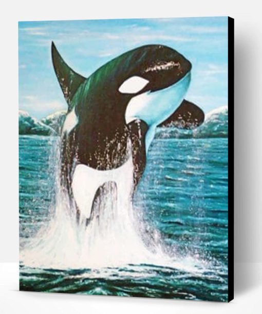 Jumping Whale Paint By Number