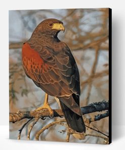 Aesthetic Hawk Eagle Paint By Number