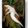Albino Crocodile On Tree Paint By Number
