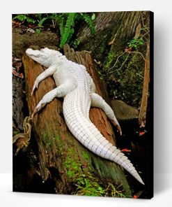 Albino Crocodile On Tree Paint By Number