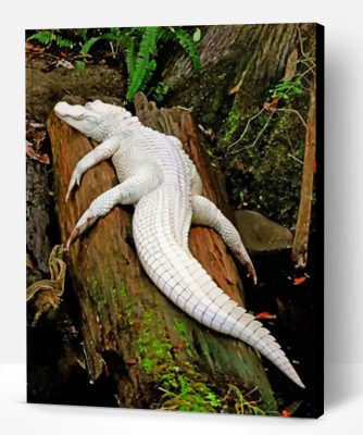 Albino Crocodile On Tree Paint By Number