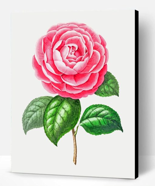 Artistic Camellia Flower Paint By Number