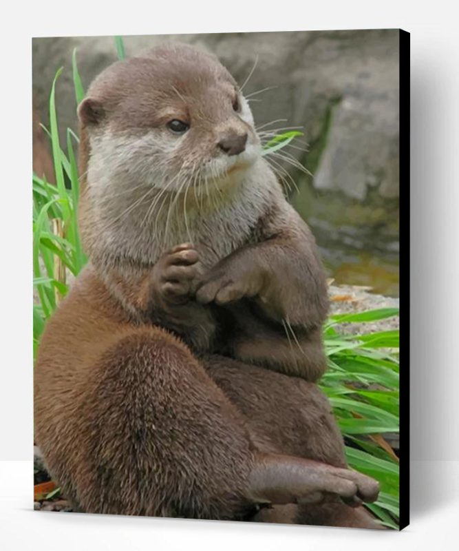 Asian Small Otter Paint By Number