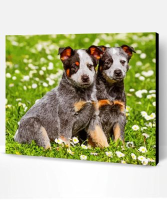 Australian Cattle Dogs Paint By Number