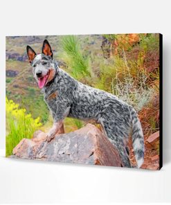 Australian Cattle Dog Paint By Number