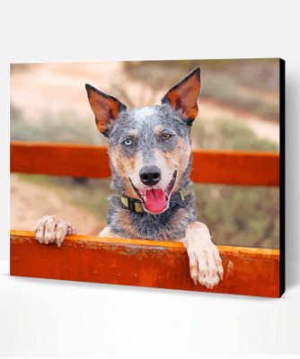 Australian Heeler Paint By Number