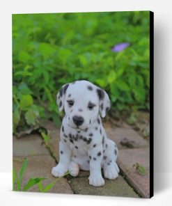 Baby Dalmatian Paint By Number
