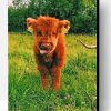 Baby Highland Cow Paint By Number