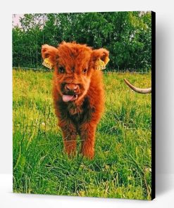 Baby Highland Cow Paint By Number