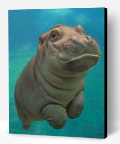 Baby Hippopotamus Paint By Number
