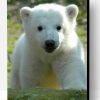 Baby knut Polar Bear Paint By Number